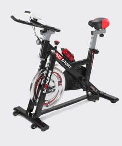 Xe đạp tập thể dục Queen Crown QC 250 Sport 1